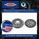Clutch Kit 2 Piece (cover+plate) 240mm Hk2838 Borg & Beck 31370248 31437169 New