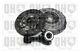 Clutch Kit 3pc (cover+plate+csc) Fits Ford Focus Mk2 1.8d 04 To 12 Kkda Qh New